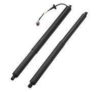 Amortiguadores Maletero Soporte Elevación Para Portón Trasero Eléctrico Para Ford Para Explorer 2016-2019 Pilar Gasolina GB5Z14B351A Resorte De Gas Amortiguador(1 par)