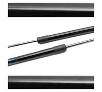 Amortiguadores para Nissan para Skyline GT-R BNR34 R34 Coupé 1999-2002 Sin Alerón Soporte Elevación Amortiguadores Puntales Portón Trasero 84430AA400 Alfombrilla Maletero(Normal Black)