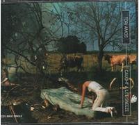 Tori Amos - Caught a Lite Sneeze