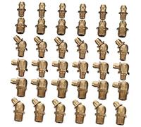 Amosfun 1 Juego Boquillas de Engrase Caja Accesorios de Lubricación para Incompatibilidades y Uso Automotriz Resistentes y Organizados