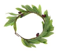 Amosfun 1pieza Guirnalda Olivo Artificial Ligera para Mujer Tocado Elegante para Bodas y Fiestas Accesorio para Fotos y Disfraces Diadema Cómoda para Eventos y Sesiones Fotográficas