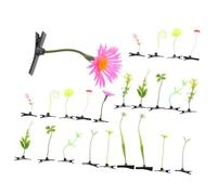 Amosfun 24 piezas Clips para Cabello Niñas Plantas Surtido Adornos para Fiestas y Uso Diario