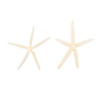 Amosfun Accesorio de Decoración Conchas Marinas, 2 Adornos de Estrella de Mar Natural para Bodas y Decoración de Escritorio, Tamaño 16-19 CM, Estilo Mediterráneo