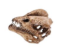 Amosfun Adorno De Cráneo De Dinosaurio Dilophosaurus De Resina Realista│Modelo Decorativo Artesanal│Color Aleatorio│decoración para Hogar, Halloween y Acuario│ Única
