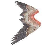 Amosfun Ala Grande para Cosplay de Adultos, Accesorio de Disfraz de Alas de Pájaro en Tela No Tejida, Ligera y Cómoda para Fiestas de Carnaval y Actuaciones