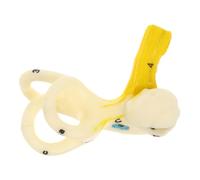 Amosfun De Oído Anatómico Del Canal Semicircular Del Oído Para Clases De Anatomía