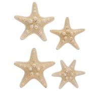 Amosfun Estrellas de mar Naturales Concha decoración de la Pared de la Concha artesanía decoración del hogar 4pcs(5-8 cm)