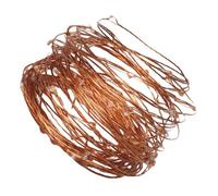 Amosfun Guirnalda de Luces LED USB 10 Metros 100 Luces en Alambre de Cobre Luz Fría para Decoración Interior y Exterior Fiesta Luz de Hadas Decorativa