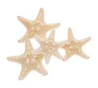 Amosfun - Juego de 4 Conchas de Estrellas de mar Naturales para temática náutica, decoración de Boda, Fiesta de cumpleaños (5-8 cm)