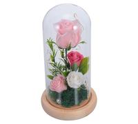 Amosfun Lámpara Romántica de Rosa LED con Cubierta de Cristal y 4 Flores Rosas, Decoración para Noche de Citas y San Valentín, Luz de Atmósfera para Hogar y Obsequio