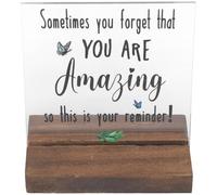 Amosfun Letrero Motivacional de Escritorio para Oficina con Soporte Decoración de Mesa Placa para Amigas y Familia
