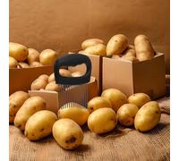 Amosfun Soporte para Cortar Cebolla de Acero Inoxidable 304 Grande 16 Pasadores Herramienta Auxiliar para Picar Verduras Limón Tomate y Aguacate Cocina Doméstica