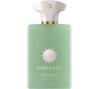 AMOUAGE Meander Man 100 ml