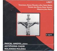 Amoyel - Liszt: De Profundis