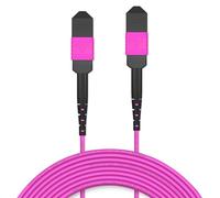 AMPCOM Cable de maletero MPO a MPO 50/125μm multimodo OM4 (8 fibras, MPO a MPO hembra, tipo B, LSZH/Riser, UPC, magenta) 1 m (3 pies)