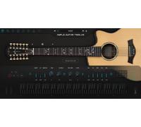 Ample Sound Ample Guitar Twelve