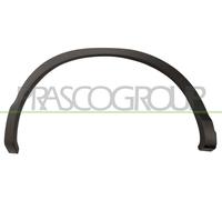 Ampliación De Guardabarros DS7121583 PRASCO Para NISSAN