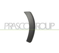 Ampliación De Guardabarros FT1251571 PRASCO Para FIAT