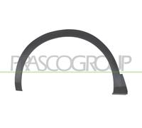Ampliación De Guardabarros PG5241572 PRASCO Para PEUGEOT
