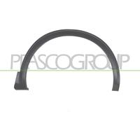 Ampliación De Guardabarros PG5241581 PRASCO Para PEUGEOT