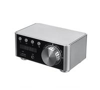 Amplificador, 100W Audio HIFI Bluetooth 5.0 Clase de energía D amplificador TPA3116 AMP digital AUDIO AUDIO DE AUDIO MARINO USB AUX IN Mini audio(Silver AMP,No)