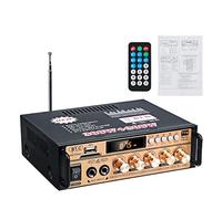 Amplificador, 30 0w + 300w Amplificador de coche HIFI 2 CH Amplificador de energía de audio Amplificador de cine en casa Soporte de audio FM USB SD/Control remoto