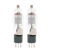 Amplificador de audio a válvulas de vacío WE310A(2pcs Matched Pair)