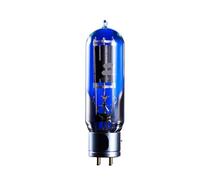 Amplificador DE Potencia de adaptación de precisión de Tubo de vacío WE845(2 pcs)