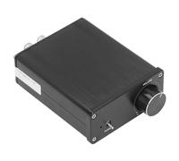 Amplificador de potencia digital Clase D Dual canal Hifi Audio Audio Potencia AMP 100W X 2 Aleación de aluminio de alta eficiencia para equipos de DJ de estudio de cine en casa