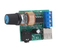 Amplificador de Potencia Estéreo 5V AC/DC USB Módulo PM2038