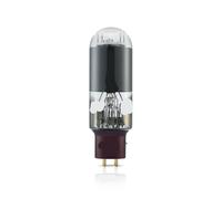 Amplificador de tubo de audio 1/2/4 piezas 845(1 PCS)