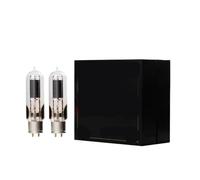 Amplificador de tubo de vacío WE845 de 1/2/4 piezas(2 piece WE845)
