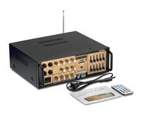 Amplificador Digital con Ecualizador, Amplificador De Audio Estéreo Profesional, 300 W De Alta Potencia, Compatible con FM, Entrada USB/SD Y Micrófono, con Control Remoto(Gold)