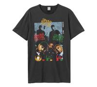 Amplified Camiseta Hip Hop Hooray Naughty By Nature de Algodón para (GD2401)
