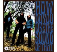 Amplified Heat - How Do You Like the Sound