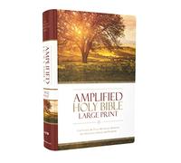 Santa Biblia Amplificada – Captura el significado del griego y hebreo – Letra grande, tapa dura
