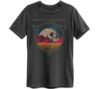 Amplified QOTSA Skull Planet Charcoal Unisex T-Tshirts Camisetas y Tops Black(Small)