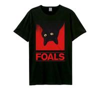 Amplified Unisex Adult Cat Foal T-Shirt GD649 Black L