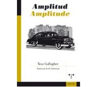 Amplitude