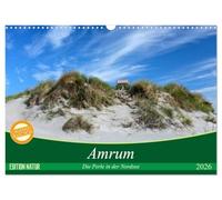 Amrum, die Perle in der Nordsee (Wandkalender 2026 DIN A3 quer), CALVENDO Monatskalender: Lassen Sie sich verzaubern von der naturbelassenen Dünenlandschaft Amrums.