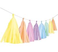 Amscan 9904613 - Guirnalda de Flecos (3 m, decoración para Colgar, cumpleaños, Fiestas temáticas, Carnaval)