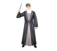 amscan 9912469 - Disfraz de Dumbledore para hombre, talla extragrande
