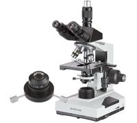 AmScope Microscopio compuesto Trinocular Darkfield de T490B-DKO 40X-2000X con condensador de aceite