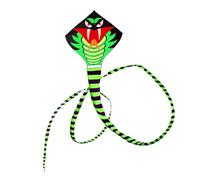 AMSLSIU Cometa de Serpiente Exterior de Larga Distancia, Juguetes de línea de Cola, jardín de otoño, Suministros para Fiesta de Acampada, Juguete Deportivo para niños y Adultos para césped, 16M