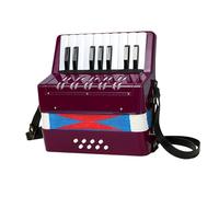AMSLSIU Juguete musical para fiestas de desarrollo infantil temprano con acordeón de 17 teclas que a los niños a tocar el mundo la música. Acordeón juguete, Violeta, 23x10x23cm