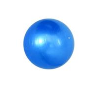 AMSLSIU Pelota de Ejercicios de Equilibrio, Equipo Anti-explosión, Clases de Yoga y Pilates o Entrenamientos en casa para Mejorar la condición física, Entrenamiento de, Azul, 45 centímetros