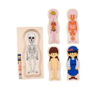 AMSLSIU Rompecabezas del Cuerpo Humano, Rompecabezas de Partes del Cuerpo Humano para niñas, niños, Regalos de cumpleaños para niñas , Chica , 30x15x1.3cm
