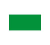 Amsterdam Expert 400ml S2 Verde permanente Claro