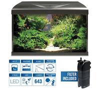 Amtra Acquario System Tank V2 - Acuario De Cristal Completo De 60 Litros, Luz Led De 9 Vatios Y Bomba De Filtro Incluida, Agua Dulce O Salada, Negro, 60X32X42 Cm