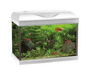 Amtra Basic 60 LED - Acuario Completo de 65 litros, iluminación LED 8500 8 W, Incluye Caja de Filtro de 150, 60 x 30 x 42 cm, Color Blanco